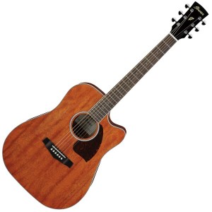 Ibanez PF16MWCE-OPN Acoustic Electric Guitar - Open Pore Natural