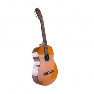 Salmeenmusic.com - Cort AC100-SG Classical Guitar with Bag