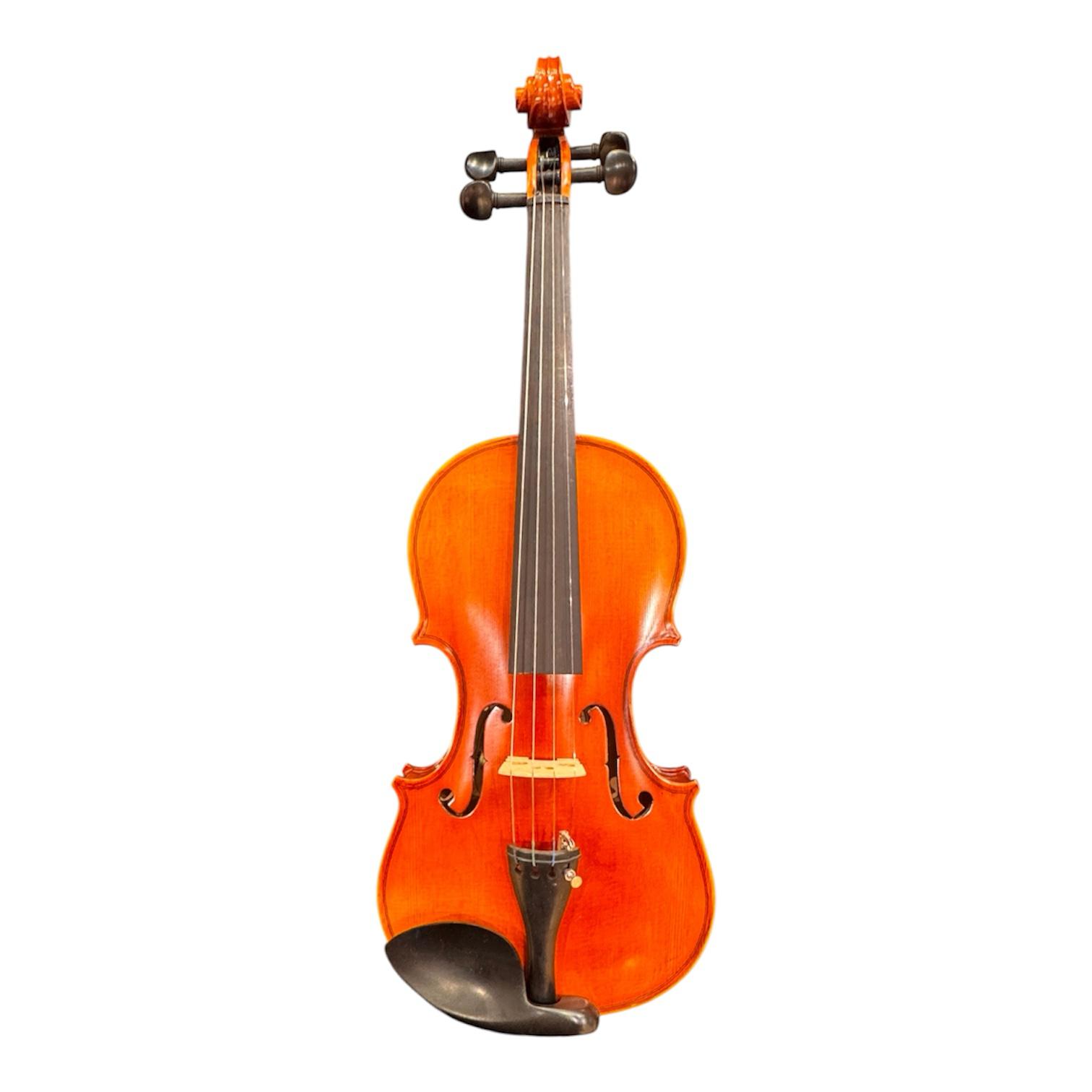 Violin Desire Professional 4/4 Size with hardcase.